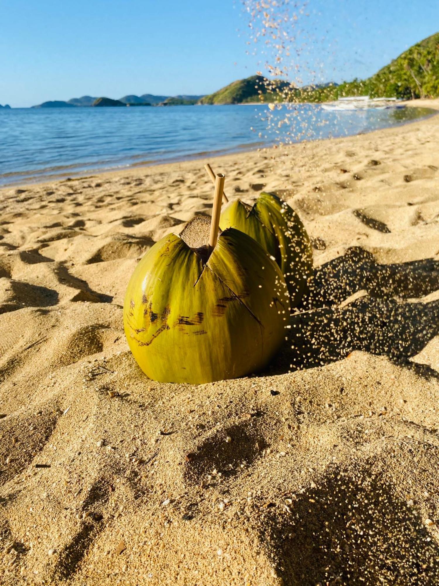 Ocamocam Beach Nature Resort New Busuanga Exterior photo