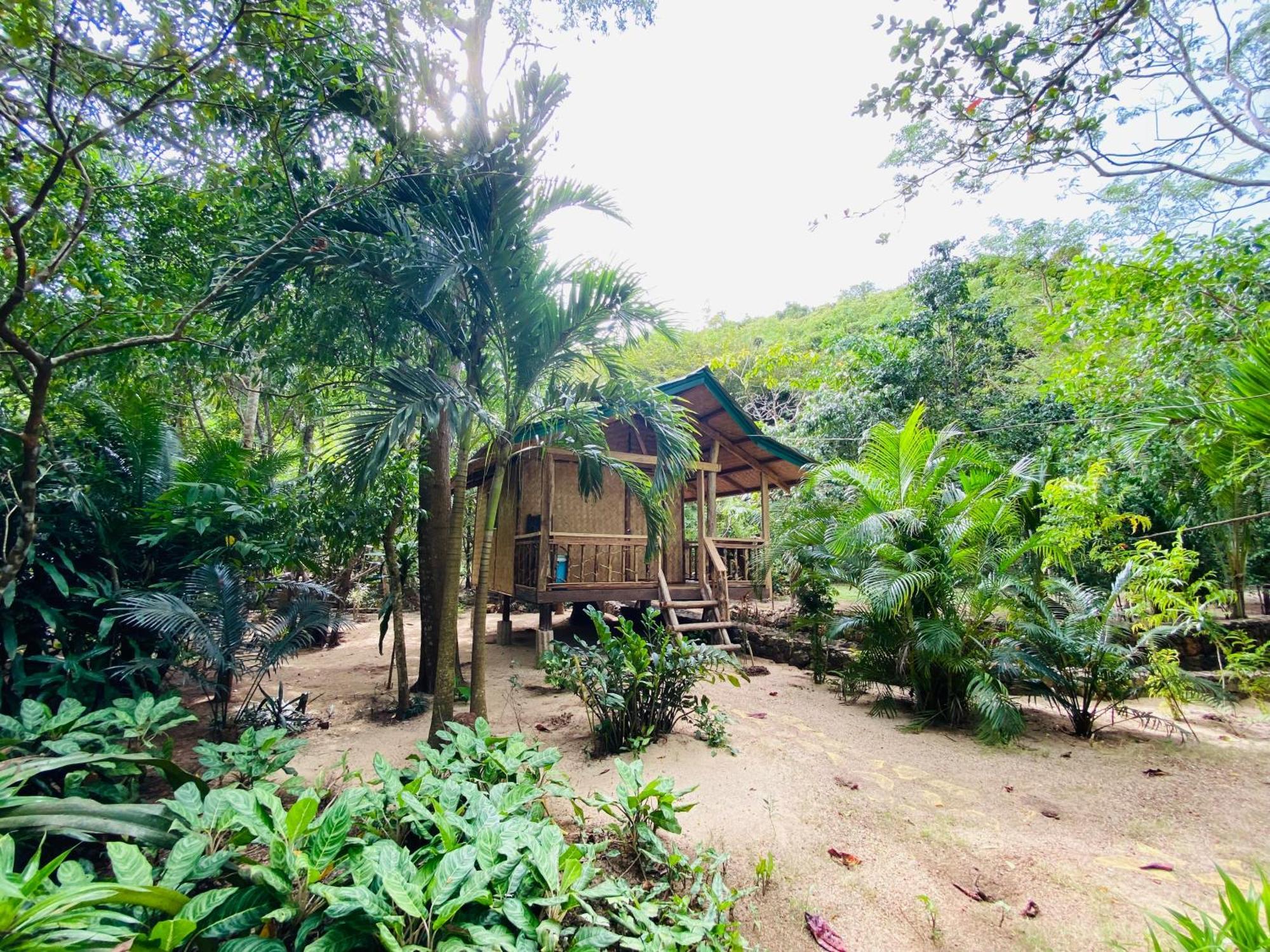 Ocamocam Beach Nature Resort New Busuanga Exterior photo